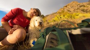 The Growing Role of Emotional Support Animals